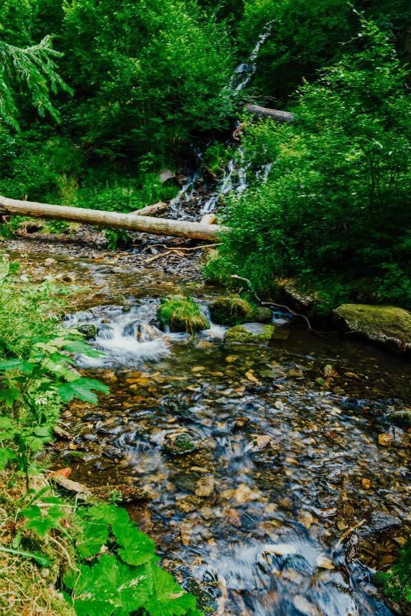 Apartman U Vlka - Hubertus, Karlova Studánka Exteriör bild